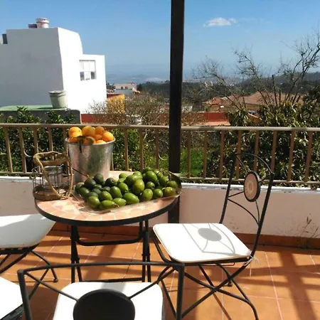 Hacienda Orange Garden