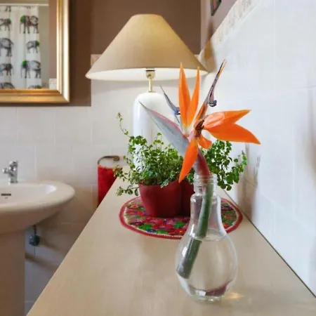 Hacienda Orange Garden Holiday home