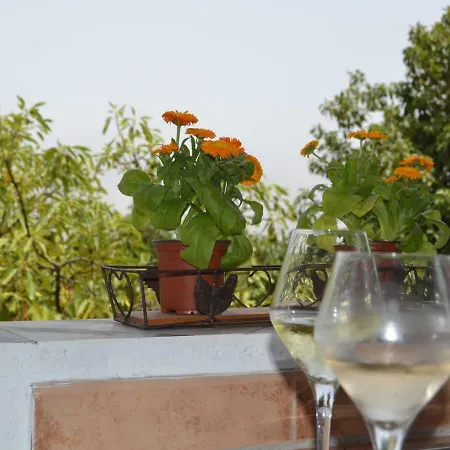 Hacienda Orange Garden * Firgas